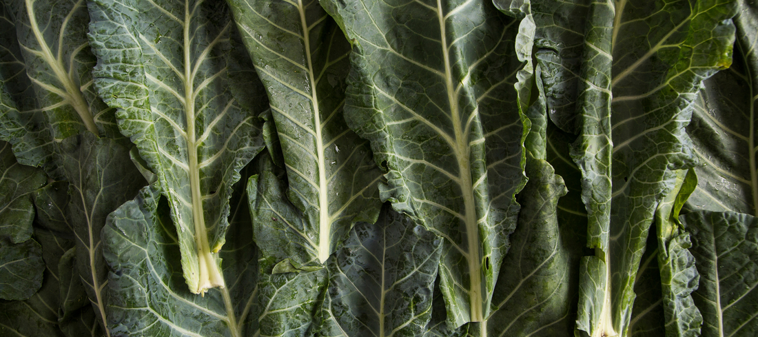 Collard Greens, winter seasonal produce