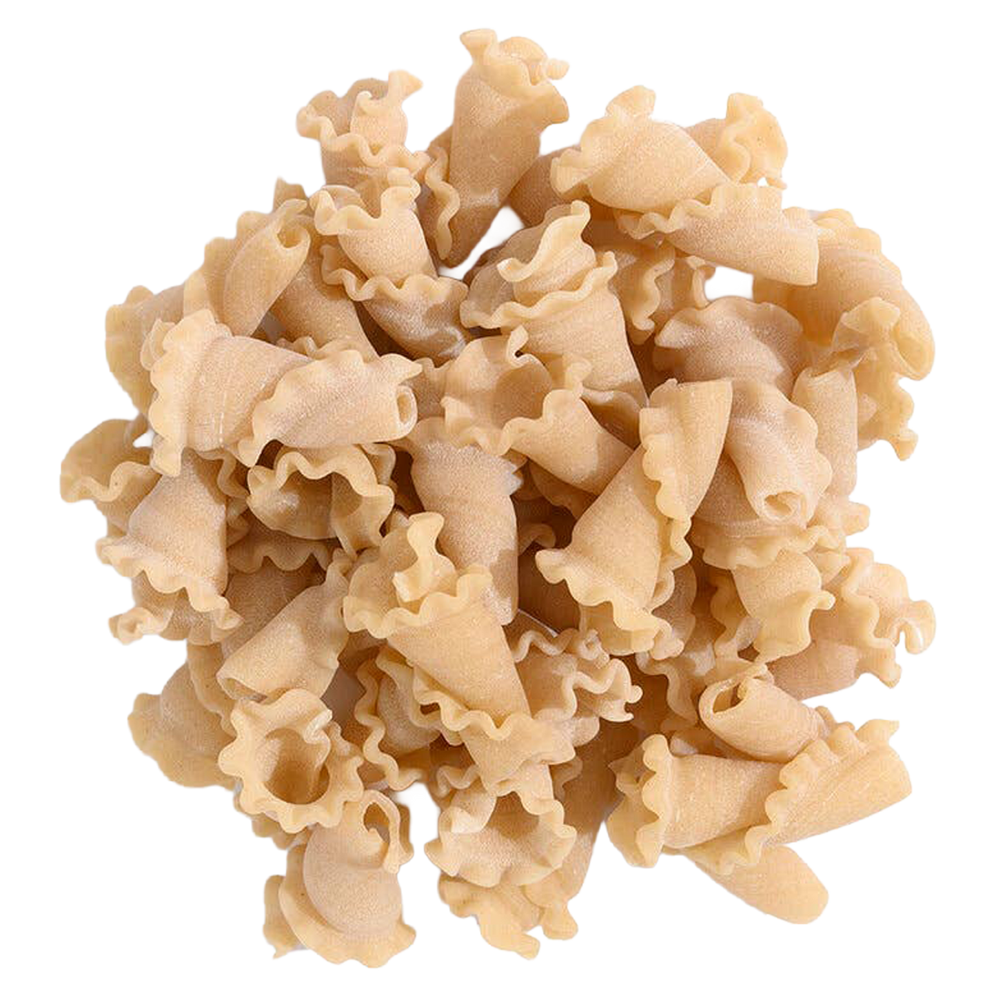Virginia Wheat Campanelle