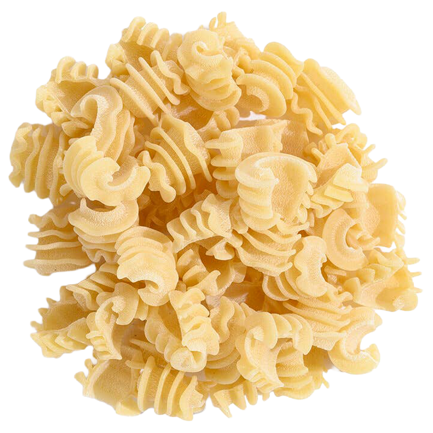 Semolina Radiatori